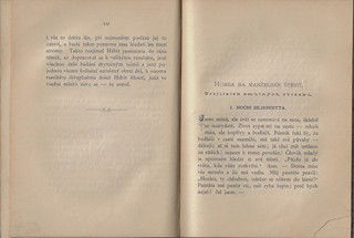 Divoké koření / Irma Giesslová