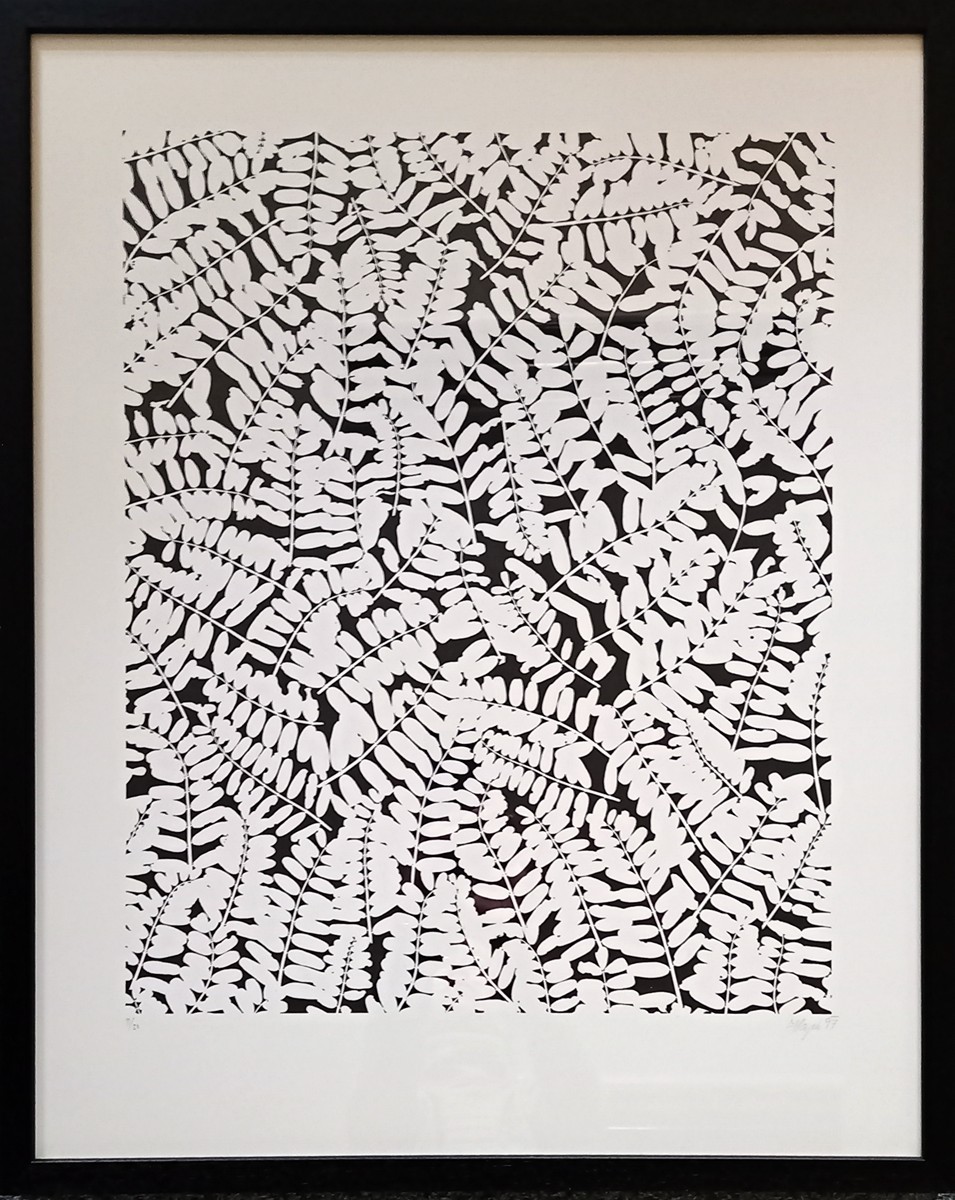 Natural Motif