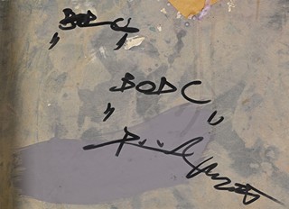 Dominik Mareš (1972) - Bod C