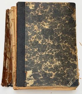 Pietro Andrea Gregorio Mattioli (1501 - 1577) - Herbář aneb Bylinář