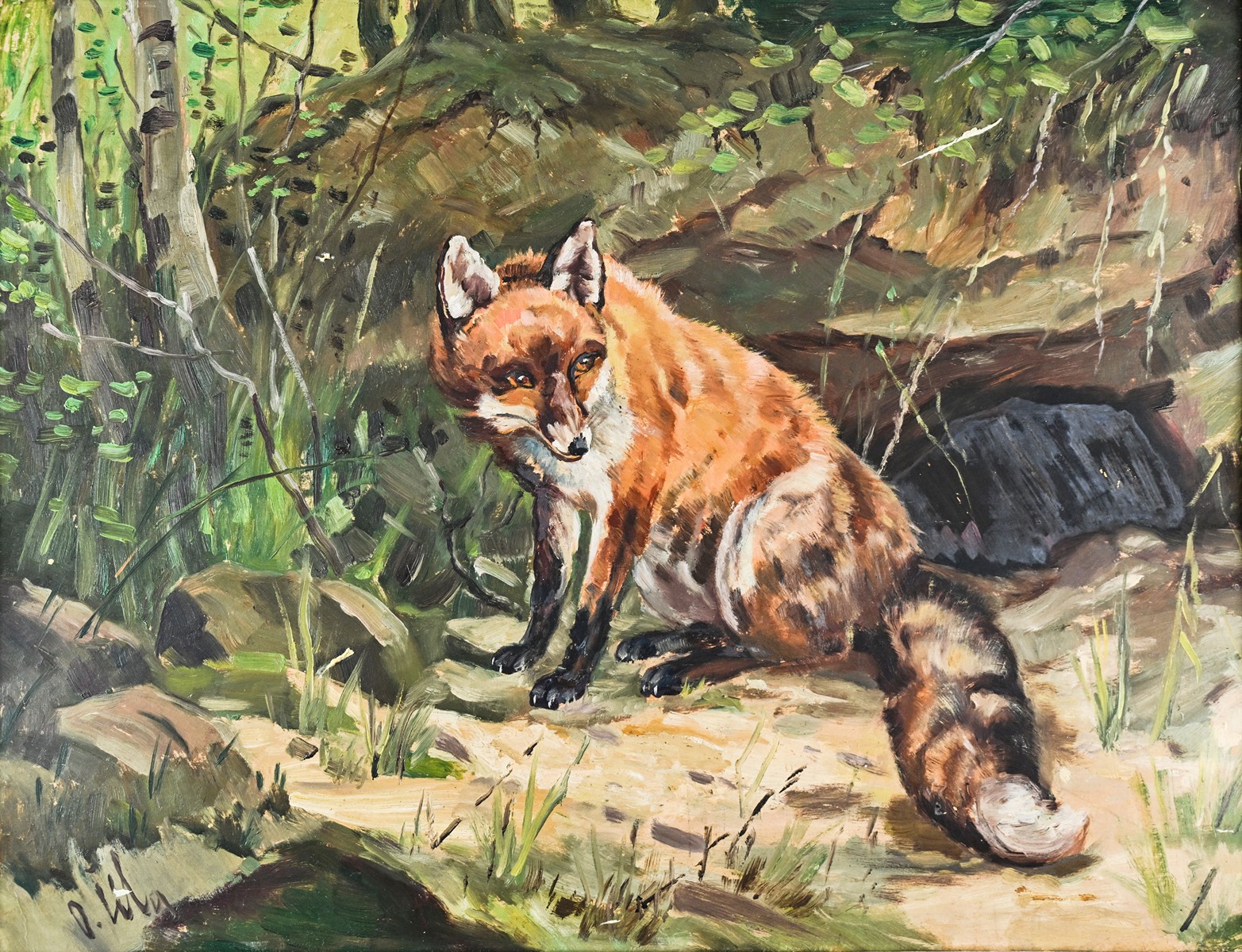 Otakar Číla (1894 - 1977) - Starý lišák