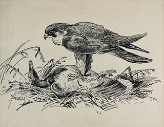 Jiří Židlický (1895 - 1950) - Sokol