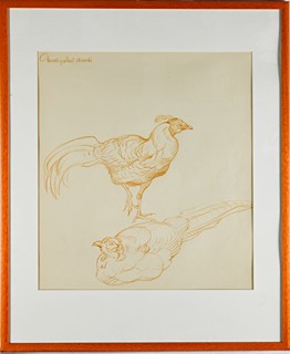 Jiří Židlický (1895 - 1950) - Studie bažanta -bažant prelát