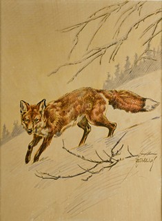 Jiří Židlický (1895 - 1950) - Lišák
