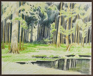 Jiří Židlický (1895 - 1950) - Lesní tůňka