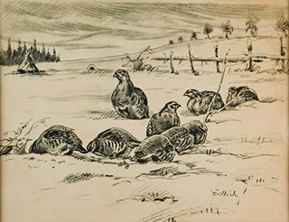 Jiří Židlický (1895 - 1950) - Koroptve