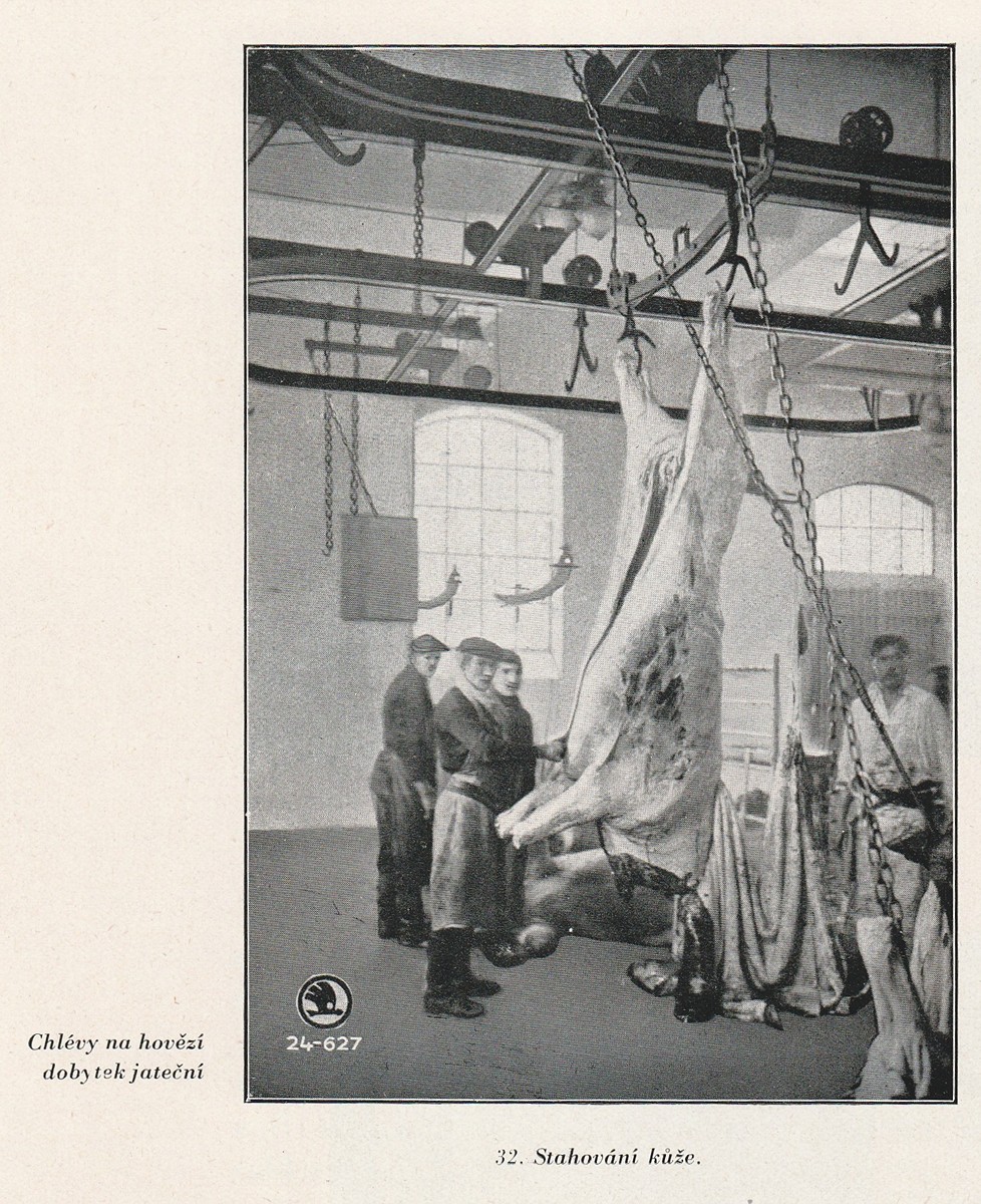 více autorů - Ústřední jatky a trh dobytčí hlavního města Prahy 1895-1930