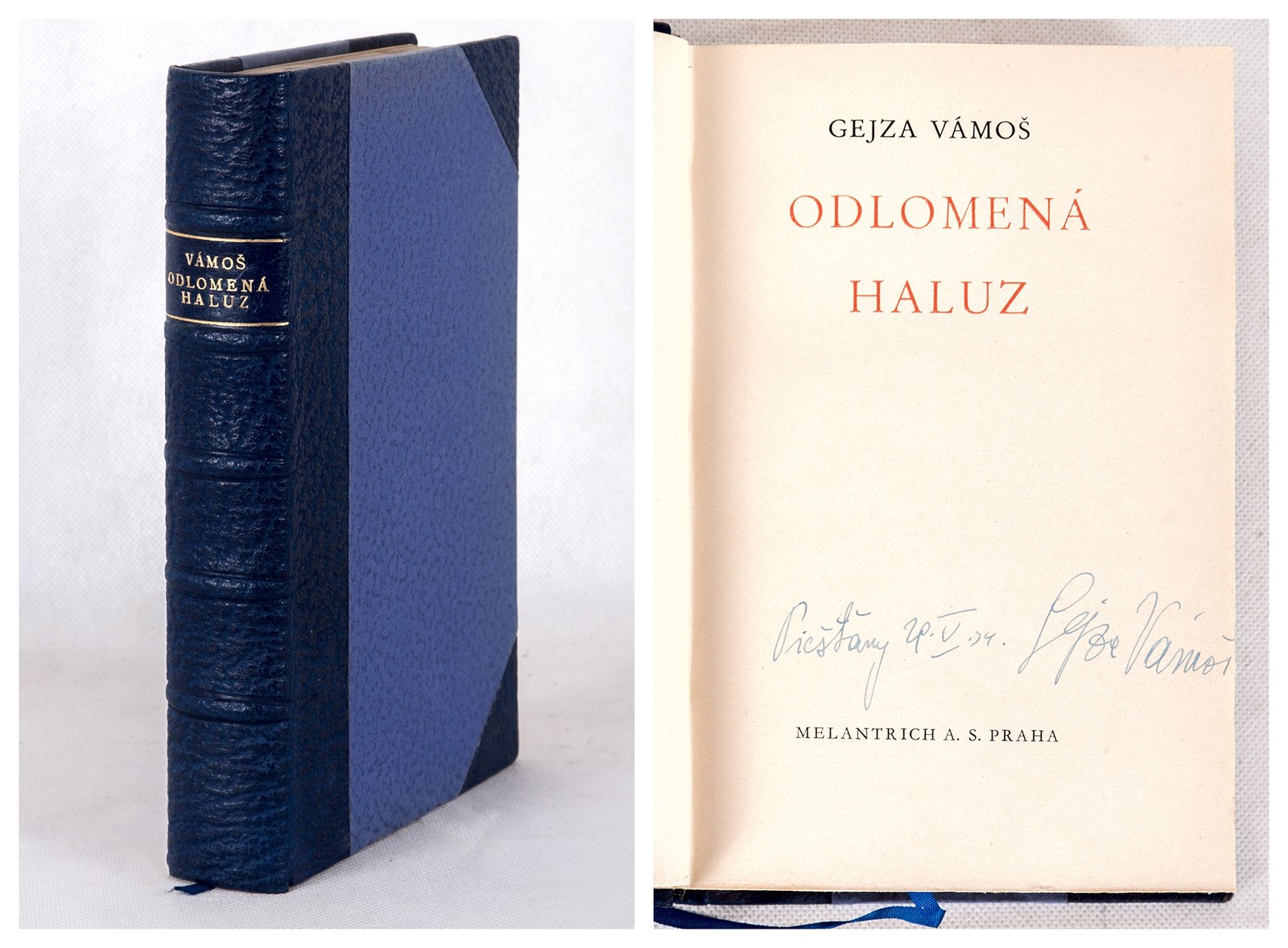 Gejzda Vámoš (1901 - 1956) - Odlomená haluz