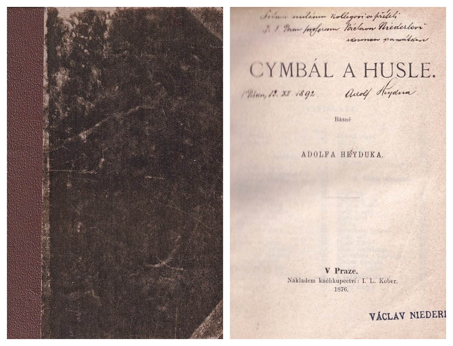 Adolf Heyduk (1835 - 1923) - Cymbál a husle
