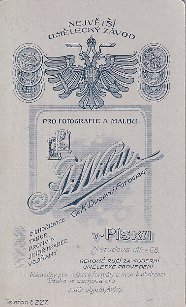 více autorů - Písecké fotoateliéry