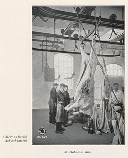 více autorů - Ústřední jatky a trh dobytčí hlavního města Prahy 1895-1930