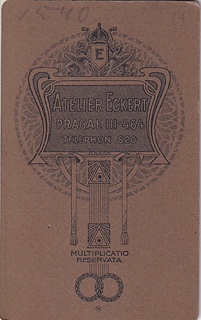 více autorů - Atelier Eckert a A. Cetl