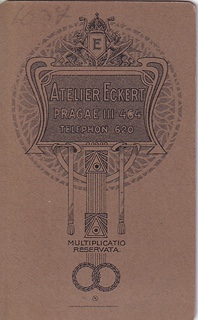 více autorů - Atelier Eckert a A. Cetl