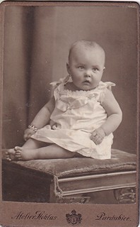 více autorů - Pardubické fotoateliéry