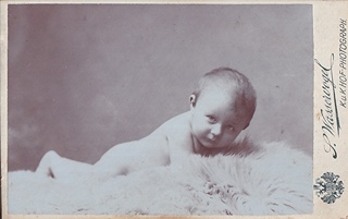 více autorů - Olomoucké fotoateliéry