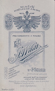 více autorů - Písecké fotoateliéry