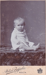 více autorů - Kolínské fotoateliéry