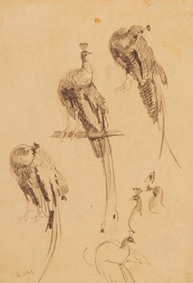 Kars Jiří (Georg) (1880 – 1945) - Páv