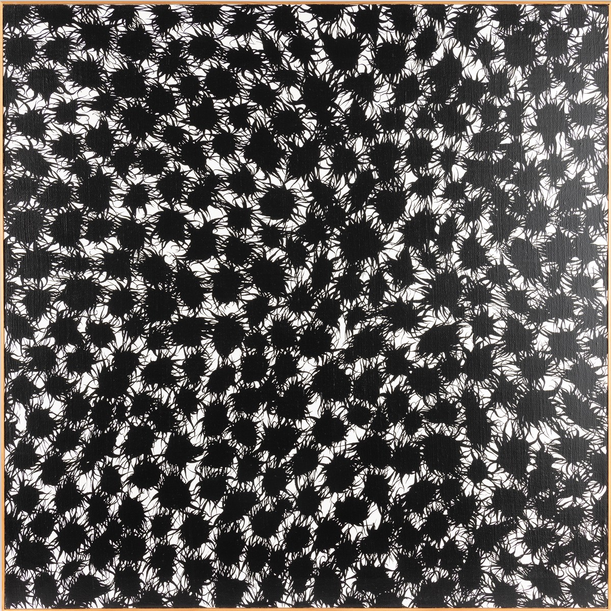 Hayek Pavel *1959 - Ořechy lísky turecké, 1996