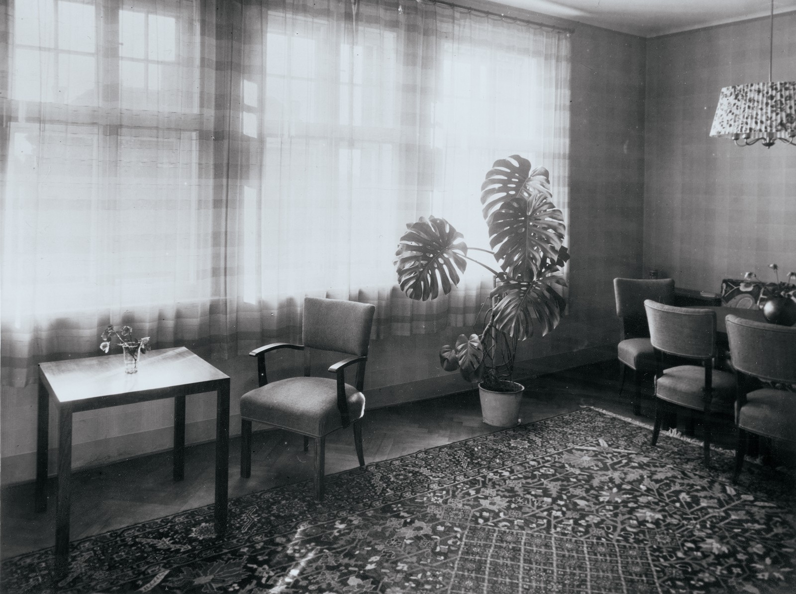 Sudek Josef 1896–1976 - Interiér s monsterou