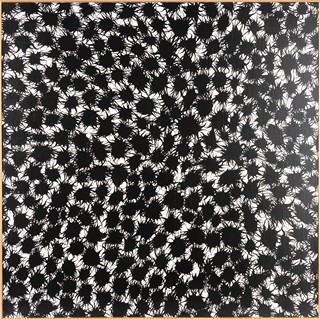 Hayek Pavel *1959 - Ořechy lísky turecké, 1996