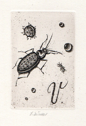 Ludmila Jiřincová (1912-1994) - Ex libris V.