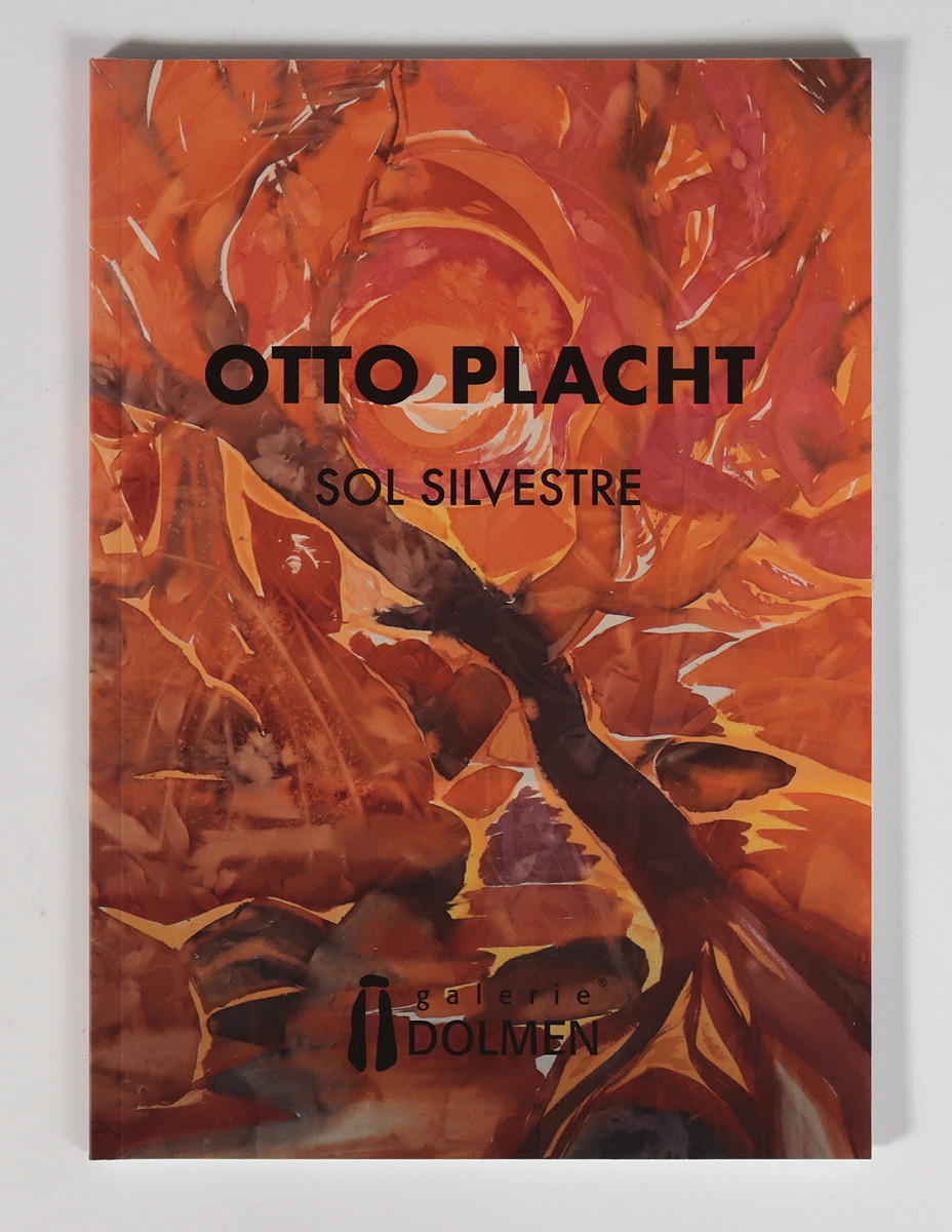 Otto Placht (1962-) - Sol Silvestre
