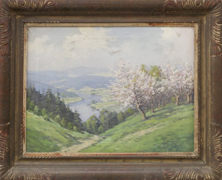 Joža Brož (-) - Pohled do údolí