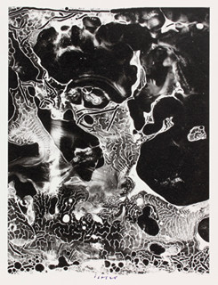 Josef Istler (1919-2000) - Fokalky z roku 1943 - 46