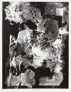 Josef Istler (1919-2000) - Fokalky z roku 1943 - 46