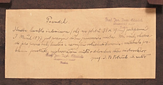 Julius Mařák (1832-1899) - Studie lesního interiéru