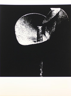 Ladislav Postupa (1929-) - Květ