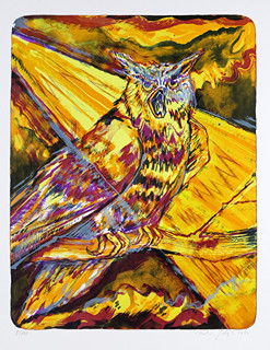 Martin Salajka (1981-) - Sova