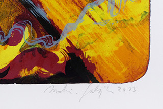 Martin Salajka (1981-) - Sova