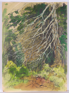 Aleša Vaic (1920-) - Les