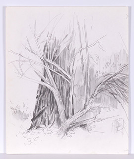 Aleša Vaic (1920-) - Les