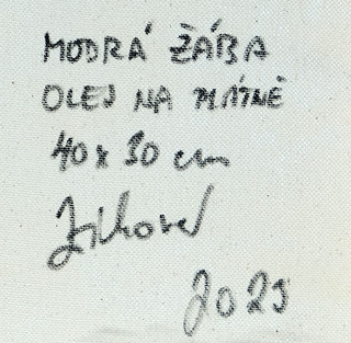 Tereza Zichová (1992-) - Modrá žába