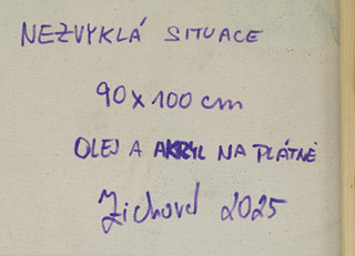 Tereza Zichová (1992-) - Nezvyklá situace