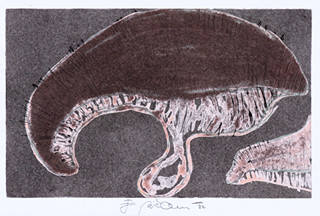 Eva Bičanová (1992-) - Fungi