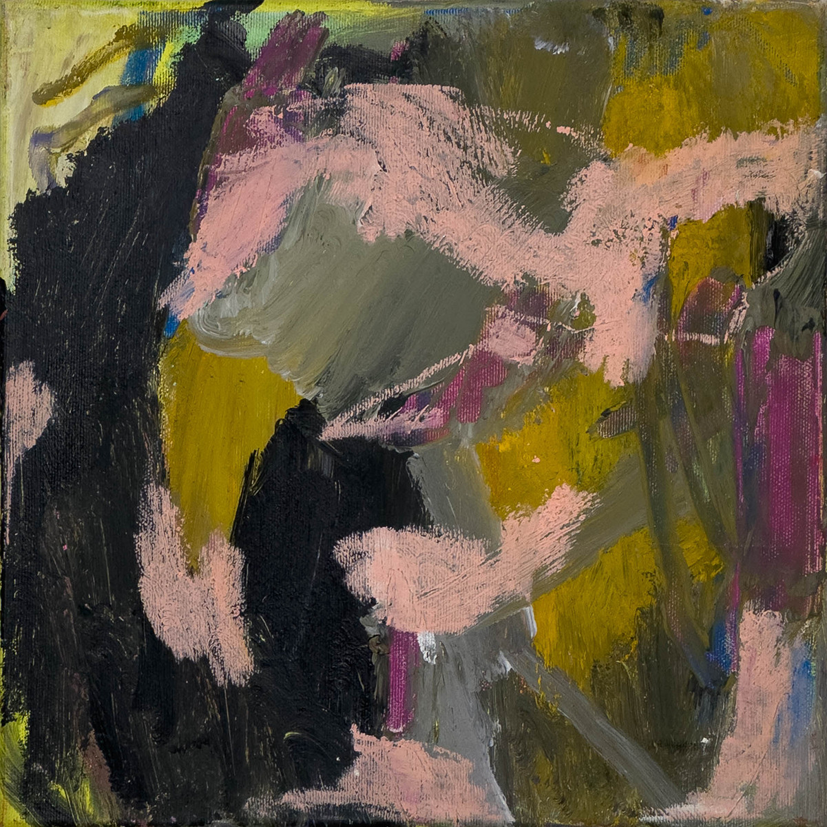 Julie Kopová (1995-) - Beast