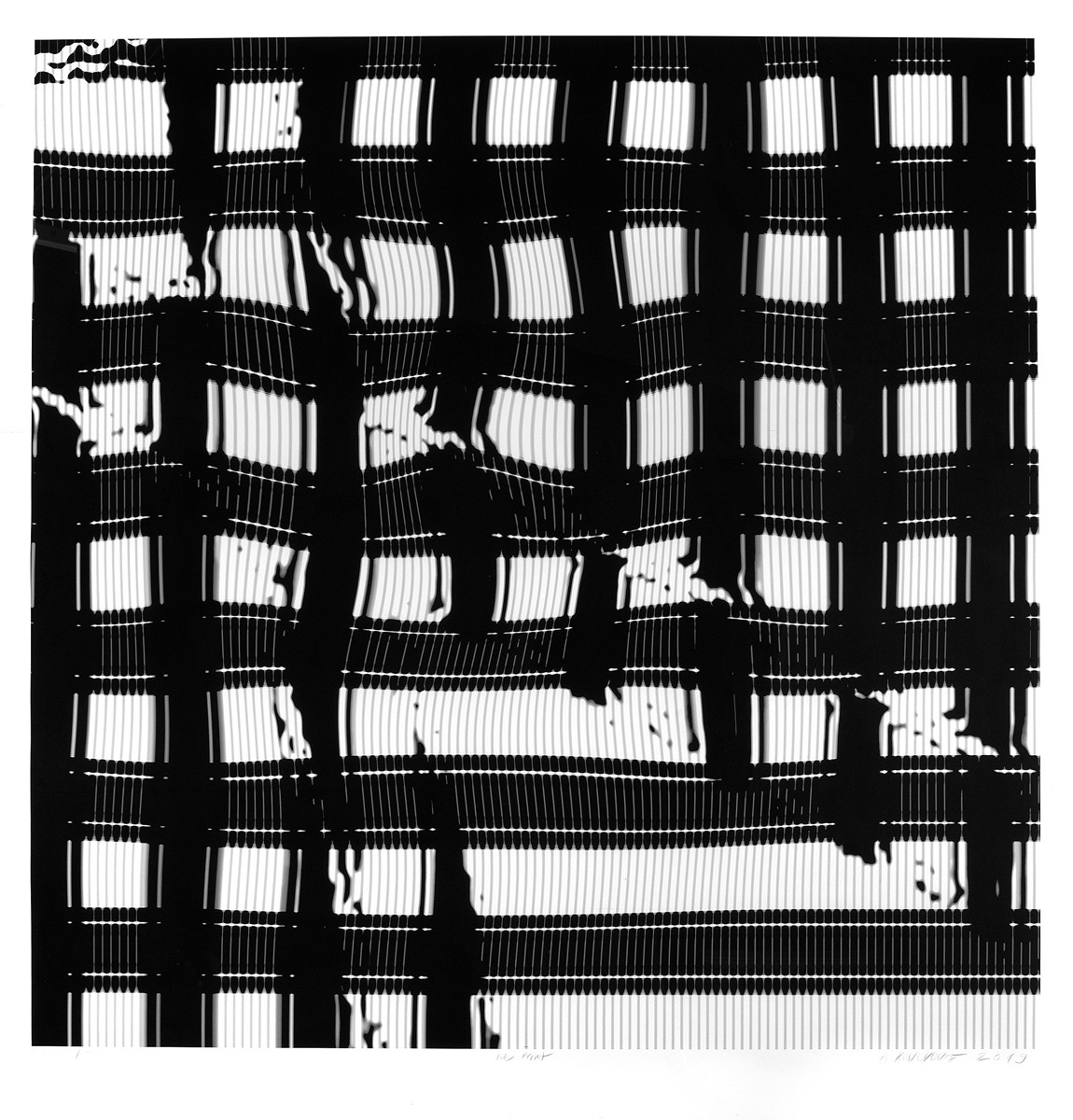 Jaroslava Severová - Bez názvu