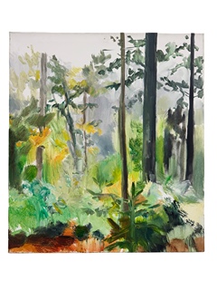 Šumava Forest