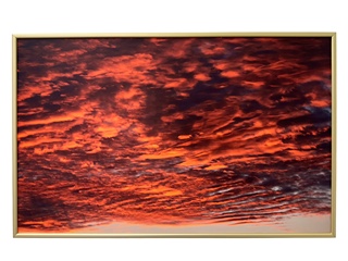 Photograph titled Serendipity
