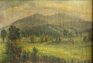 Pavel Forman (1920) - Krajina - Smrk