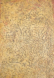 Kristýna Šormová - Struktury II