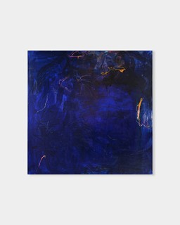Julie Kopová (1995) - Moonlight Sonata