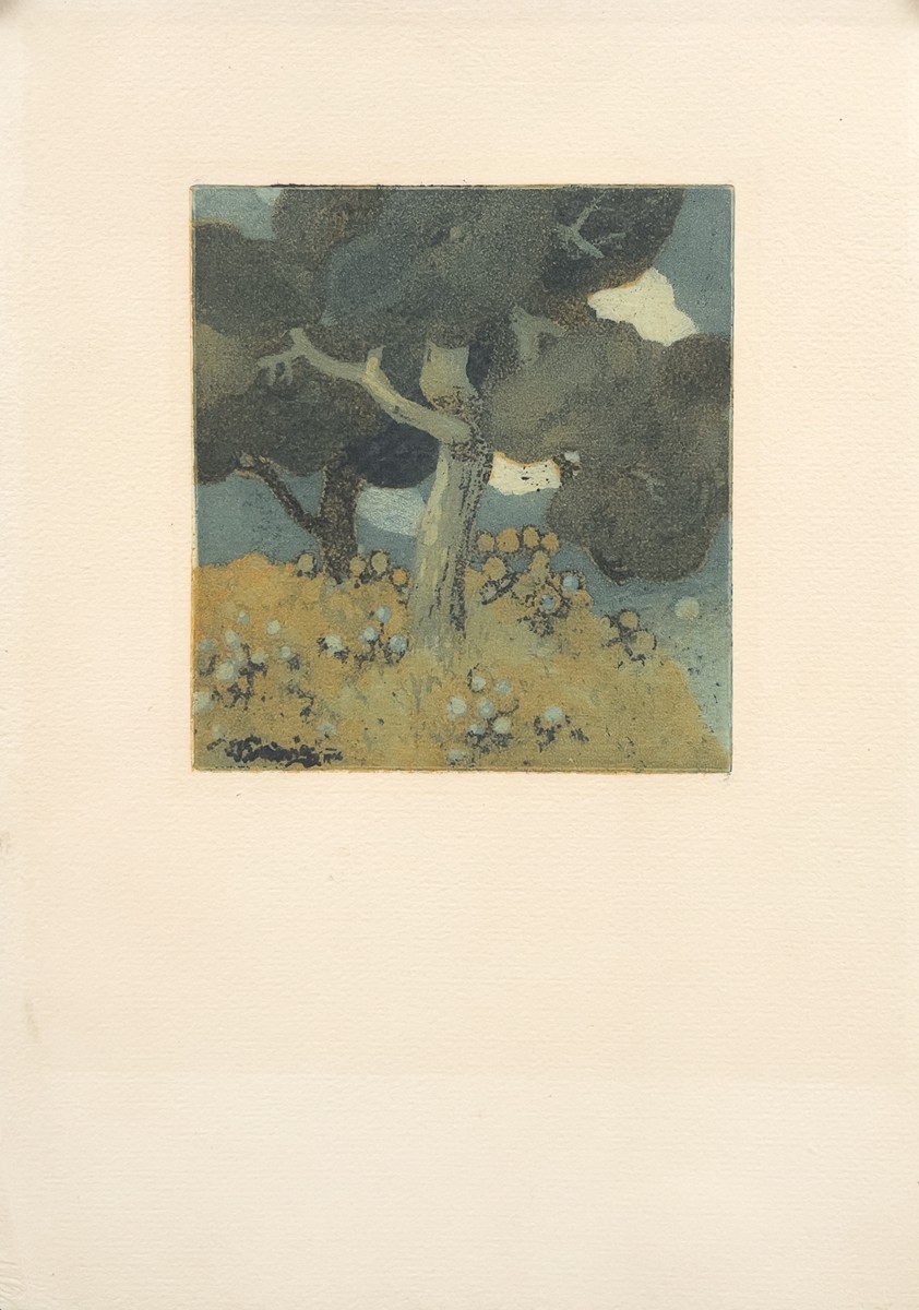 Vojtěch Preissig (1873 - 1944) - Stromy