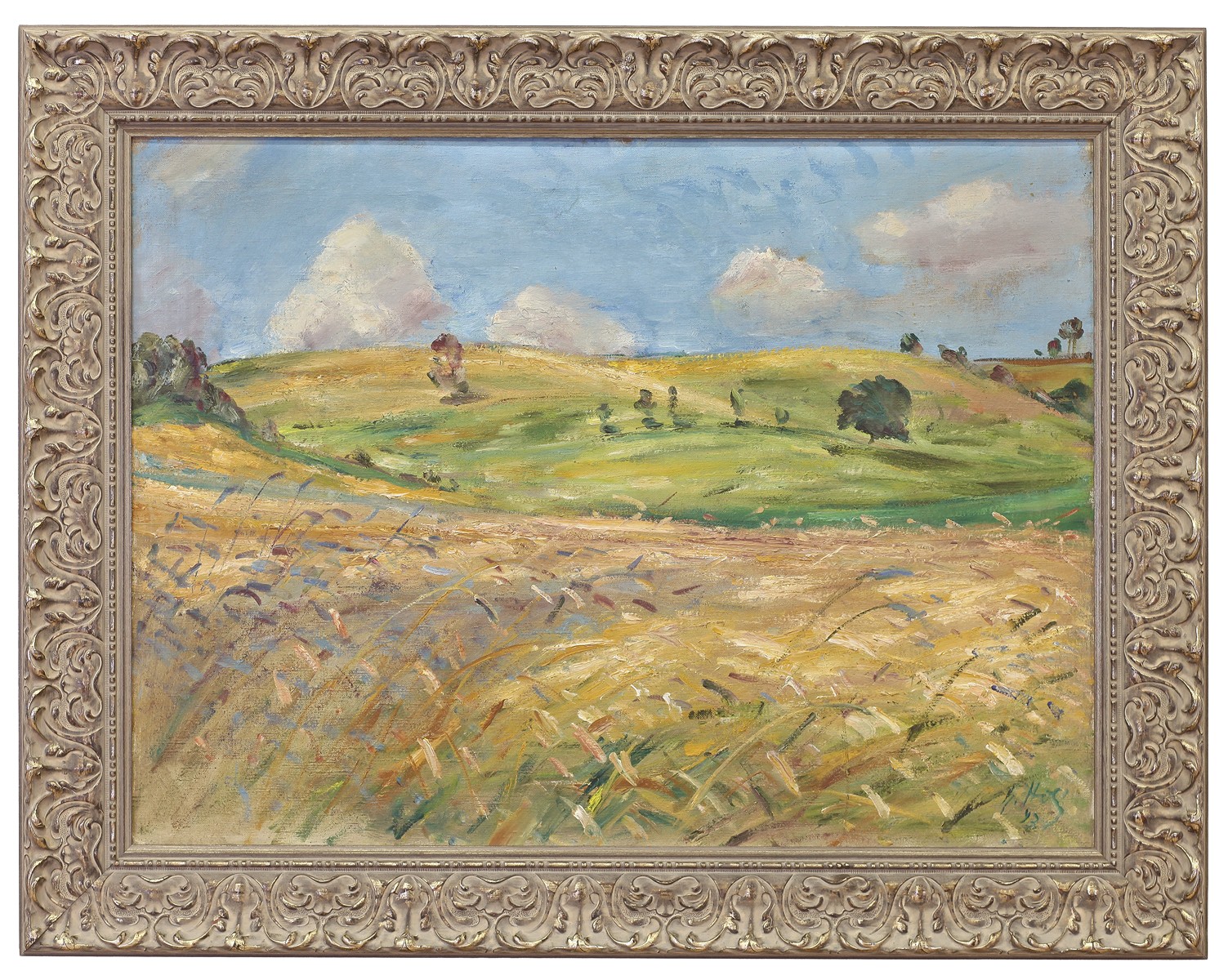 Holý Miloslav - Letní krajina s mraky