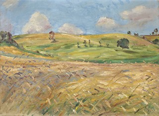 Holý Miloslav - Letní krajina s mraky