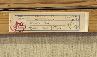 Václav Haise (1903 - 1990) - Vesnice Buk